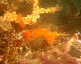 06/07/25初島3