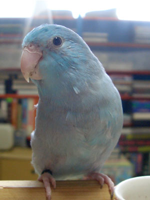 k04