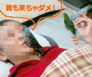 omake1