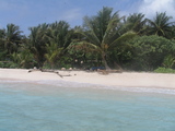 5d8aff9a.jpg