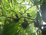 7c5b2540.jpg