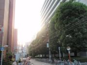 アラフォー