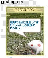 zazenboy
