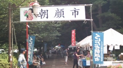 090704_asagao1