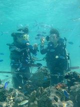 DSCF2781