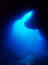 DSCF2995