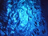 DSCF2692