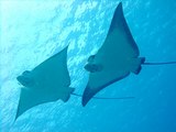 DSCF2661