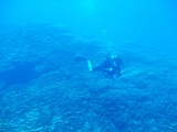 DSCF2665