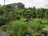 実家2