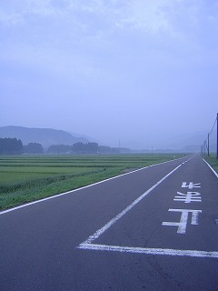 仙台の道