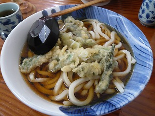 たらの芽うどん