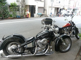STEED