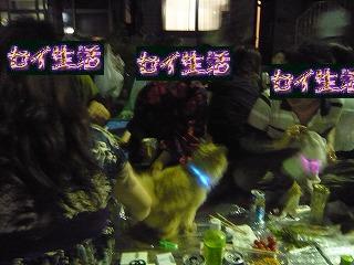 異個性
