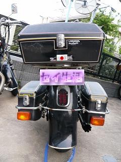 リフレクターとSTEED