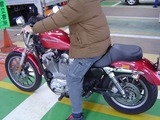 車検場とハーレー