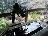 等々力不動尊の龍
