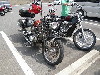 カエル君STEEDと