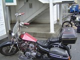 STEED