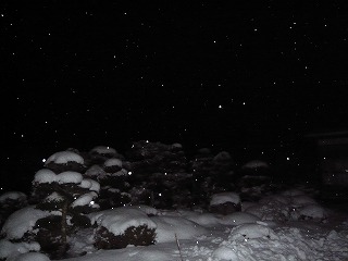 仙台と雪