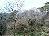 等々力不動尊からの景色
