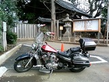 スティードと駐車場