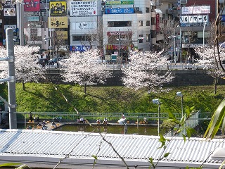 釣堀