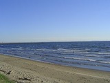 海