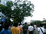 東京湾花火大会1