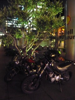 STEEDとトリッカー
