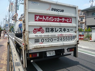 日本レスキュー