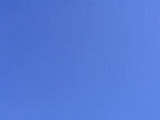 空