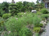 実家4