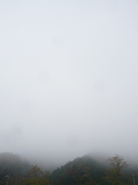 あっぷるらりー (15)