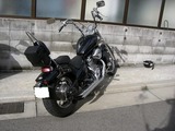 STEED400