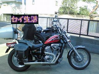トリプル交換前STEED