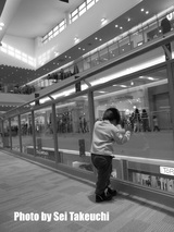 8cd96930.jpg