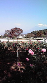 0df8807e.jpg