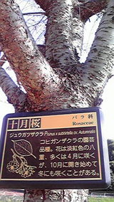 7e5929f0.jpg