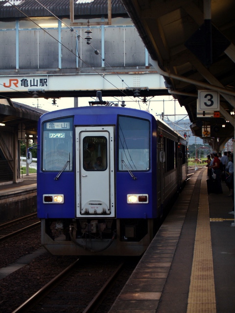 P8113065