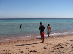 �����ץȡ����ϥ�