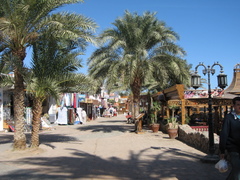 �����ץȡ����ϥ�