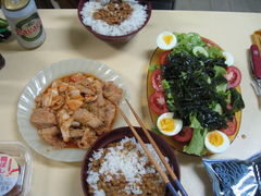 �֥饸�롡����ѥ���
