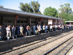 �����ץȡ��������