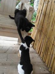 �ޥ饦�����󥬥��٥�