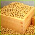 ��Ʀ