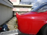 duck-tail-new14b