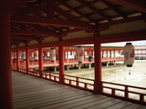 DSCN0623