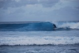DSC_0533