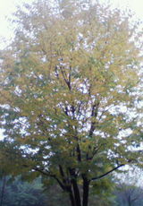 f22297f2.jpg